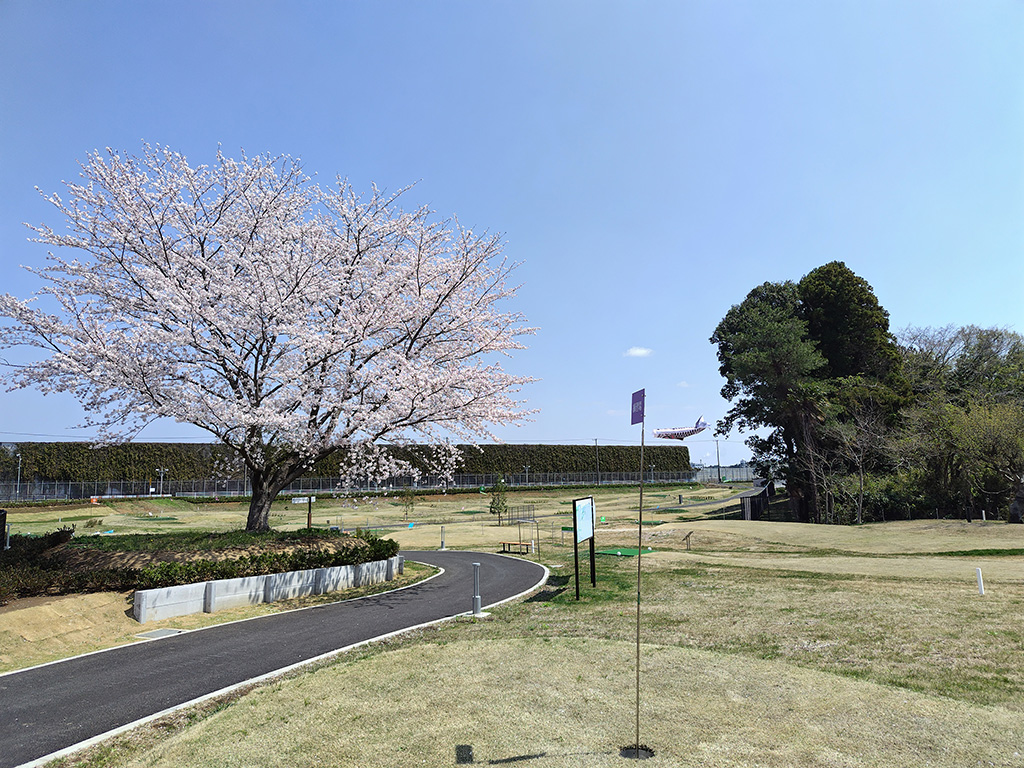 コースの写真2